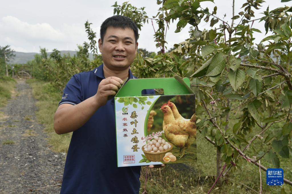全民夺宝捕鱼